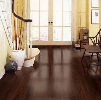 Sunlit room featuring dark wooden flooring by Abbey Carpets by Fashion Floors in Antioch, with decorative elements like a vase and a chair, creating an elegant ambiance.