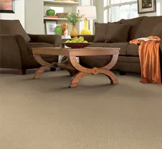 A cozy living room with a brown sofa, wooden coffee table, and beige carpet, showcasing interior design options available at Abbey Carpets by Fashion Floors in Antioch.