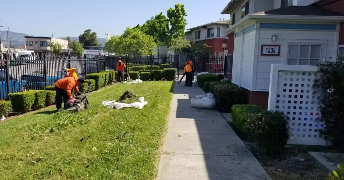 Lawn maintenance team from AbsoluteBestCare working on a grassy area in Concord, with workers trimming hedges and mowing the lawn.