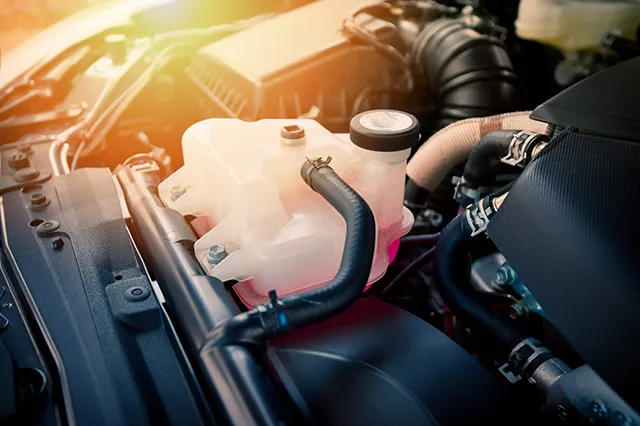 Close-up of a car engine's coolant reservoir illuminated by sunlight, showcasing clean and well-maintained components at Acur-It Auto Repair in Rohnert Park.