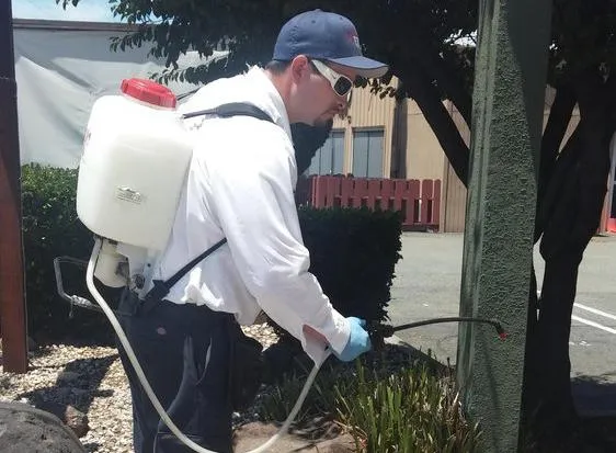 "Pest control technician from All N One Pest Eliminators in Antioch using equipment to treat outdoor pests."
