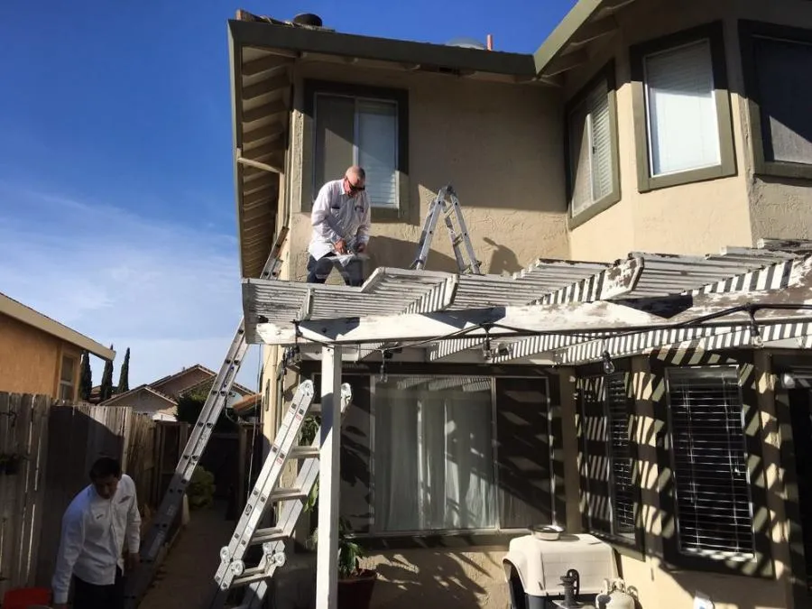 Two individuals from All N One Pest Eliminators performing pest control on the roof of a house in Antioch using ladders.