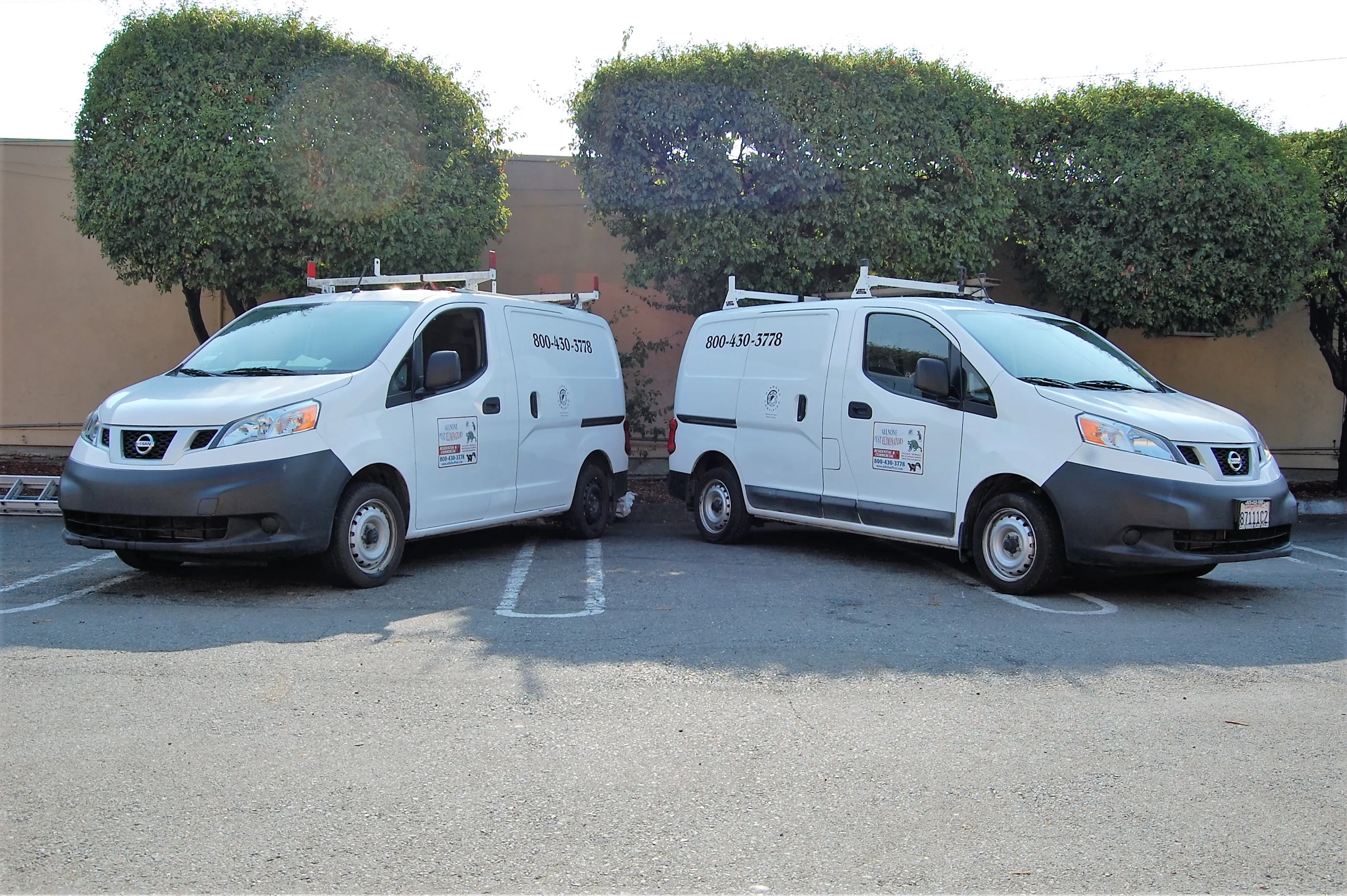 Two white pest control service vans from All N One Pest Eliminators parked in a lot in Antioch, with clear company branding and contact information visible.