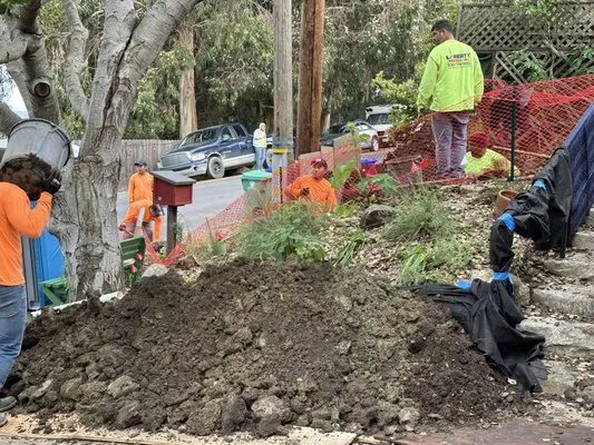 Construction workers in bright clothing working on a landscaping project near a tree, with soil, plants, and tools in Oakland.