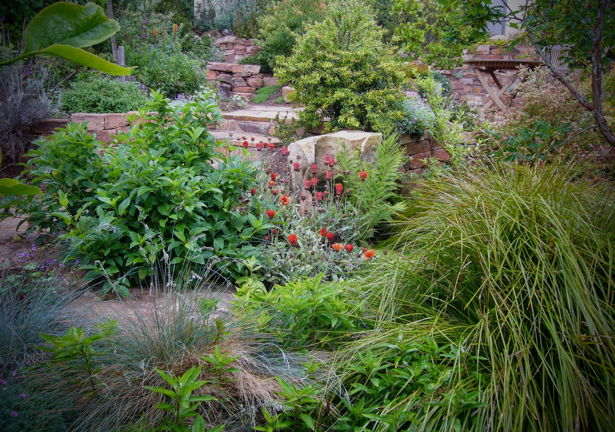 A vibrant garden in San Francisco featuring a variety of lush green plants, colorful flowers, and stone elements, designed by Artisans Landscape Inc.