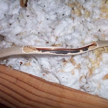 A damaged electrical wire surrounded by attic insulation material.