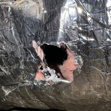 Close-up of a damaged insulation layer with a hole, revealing pink insulation material underneath.