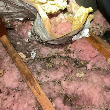 A cluttered attic with pink insulation material partially covered by debris and an open bag.