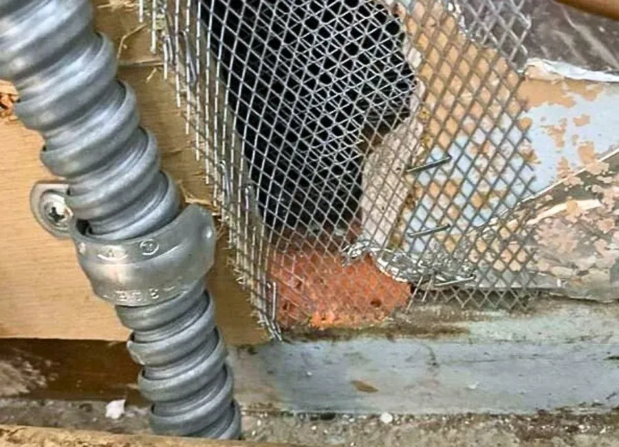 A close-up of a damaged section of a wall with metal mesh applied, showcasing pest-proofing efforts by AtticBros in San Jose.