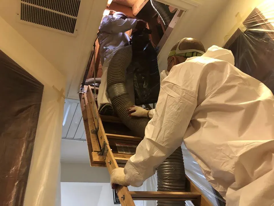 "Two workers in protective suits performing attic maintenance on a wooden ladder in Oakland for AtticPros."