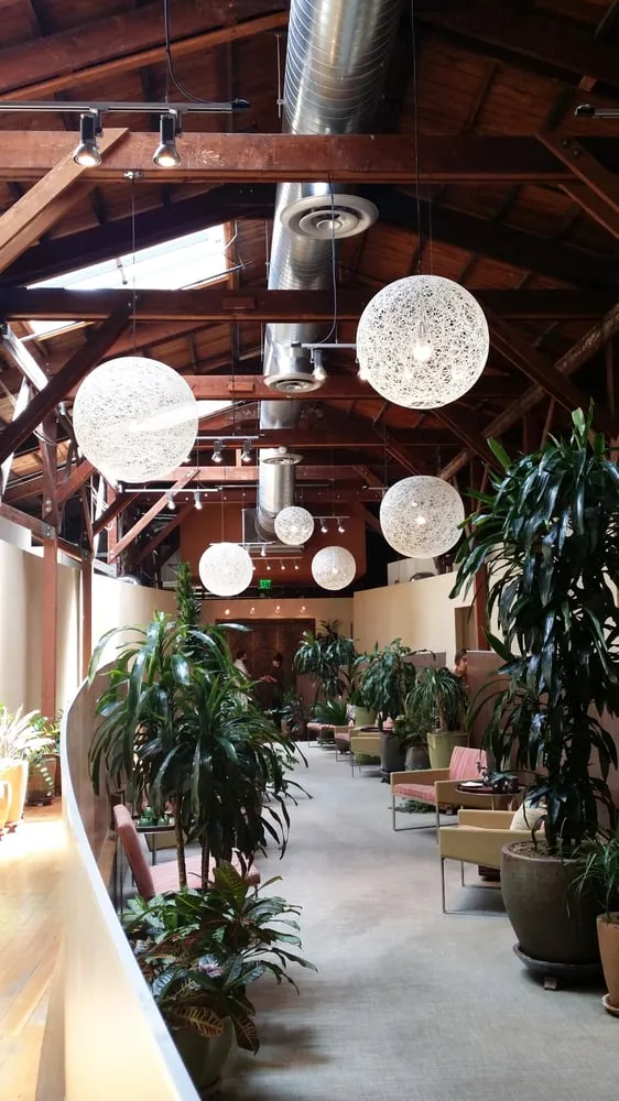 Interior of a building with modern spherical pendant lights, potted plants, and comfortable seating in San Francisco.