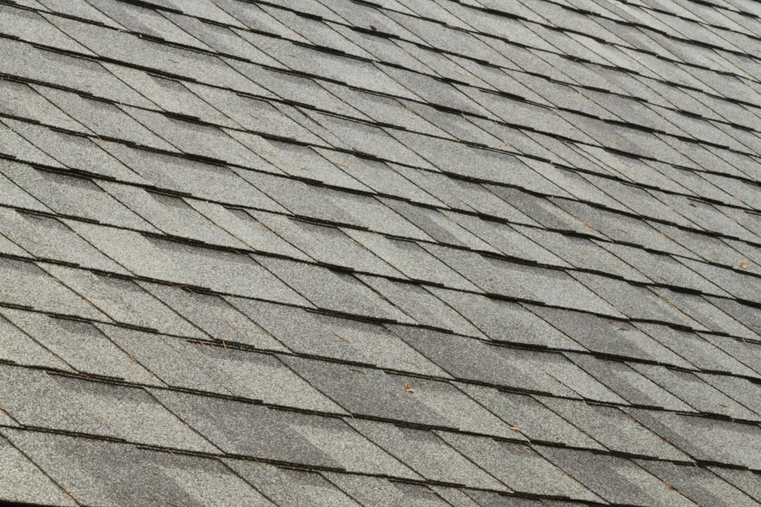 A close-up view of gray asphalt shingles showcasing the quality craftsmanship of Bay 101 Roofing, Inc. in Alviso.
