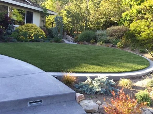 A neatly manicured lawn in Moraga, surrounded by a well-maintained garden, showcasing the effective drainage solutions by Bay Area Drainage, Inc.