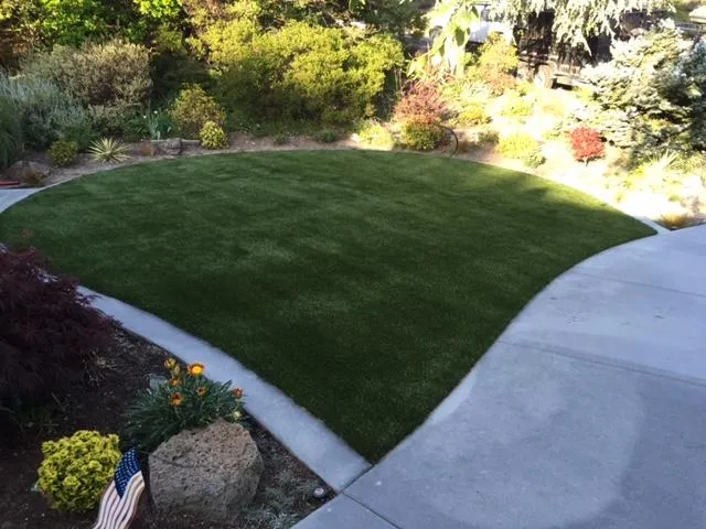 A well-maintained garden with lush green grass and surrounding plants, showcasing the quality work by Bay Area Drainage, Inc. in Moraga.