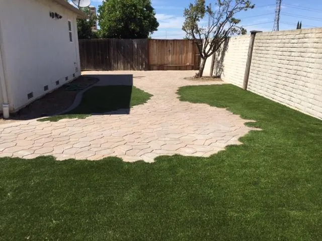A well-maintained backyard in Moraga featuring a paved patio area surrounded by lush green grass, completed by Bay Area Drainage, Inc.