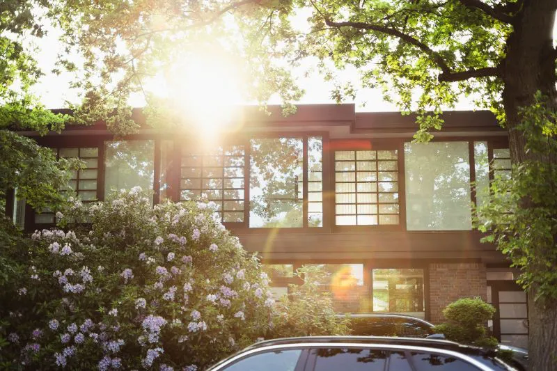 A modern house in Fremont with large windows surrounded by lush greenery and sunlight filtering through the trees.