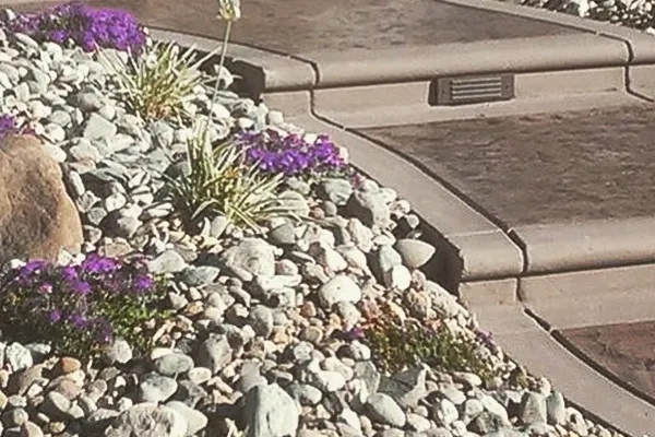 A landscaped area in Vacaville by Creative Image Landscaping, featuring a pathway with stone edging and purple flowering plants amidst decorative rocks.