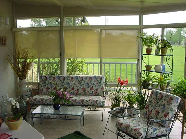 A sunlit room with floral-patterned furniture, various potted plants, and large windows equipped with beige roll-up blinds, showcasing an outdoor view.