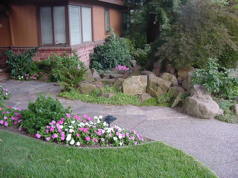A beautifully landscaped garden in San Ramon, featuring a stone path, vibrant flowers, lush greenery, and large rocks, expertly crafted by Dana Lund Landscaping.