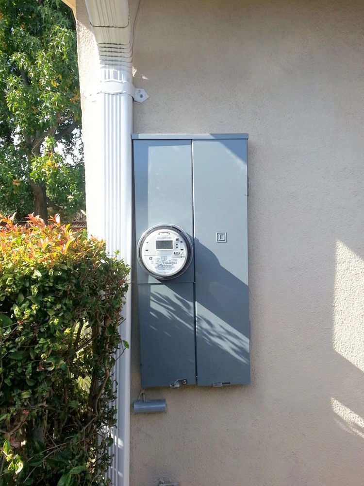 An outdoor electrical meter and panel installed on the side of a building, surrounded by foliage.