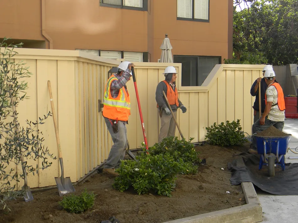 Workers from Engineered Soil Repairs, Inc. in Walnut Creek using tools and a wheelbarrow to manage soil around plants near a building and wooden fence.