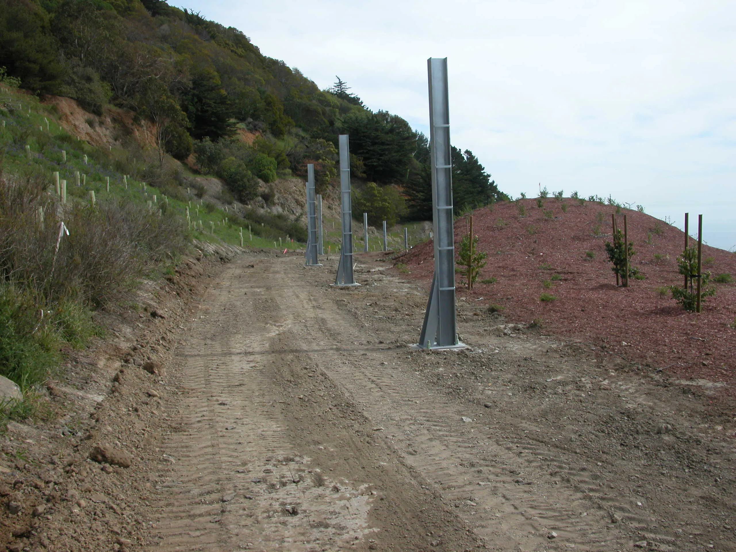 Image of a dirt road in Walnut Creek with steel posts along the side for soil stabilization, implemented by Engineered Soil Repairs, Inc.
