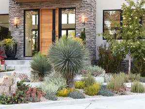 A modern house entrance in San Rafael, designed by G Landscape Division, LLC, featuring a sophisticated landscape with diverse plants and stone accents.