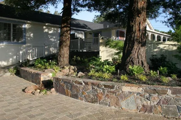 A landscaped garden area in Sebastopol featuring stone retaining walls, large trees, and green plants, created by Gill Landscape Inc.