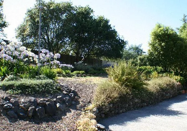 A landscaped garden in Sebastopol featuring rock borders, lush greenery, and flowering plants, designed by Gill Landscape Inc.