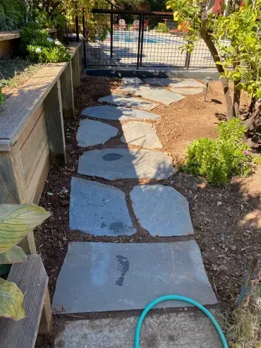 A stone pathway designed by Grimes Natural Landscape in Los Altos, featuring irregularly shaped stones leading to a gate, surrounded by greenery and garden beds.