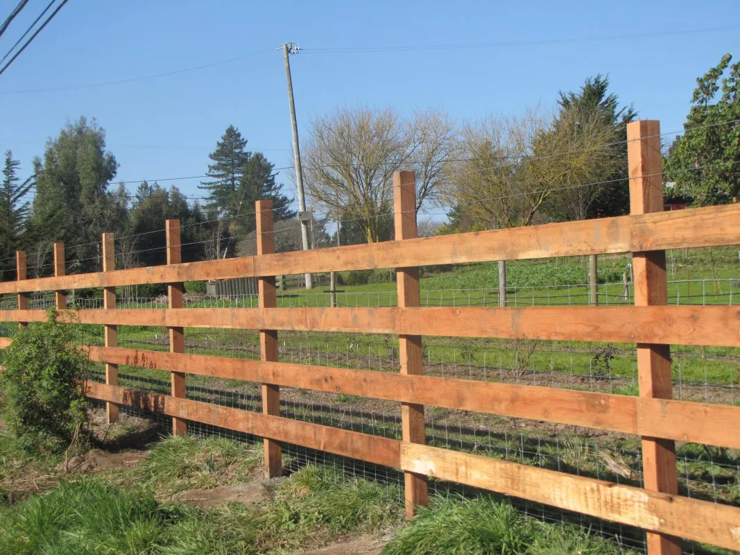 A sturdy wooden fence with wire mesh installed in a grassy area, built by Guy's Fencing, Inc. in Windsor, under a clear blue sky.