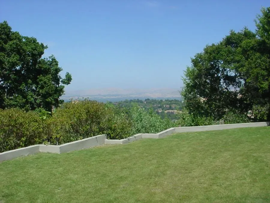 Well-manicured lawn with trees and hedges overlooking a distant scenic view, showcasing the expertise of Horticultural Services, LTD in Orinda.