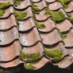 Close-up image of a weathered clay tile roof with patches of green moss growing on it.