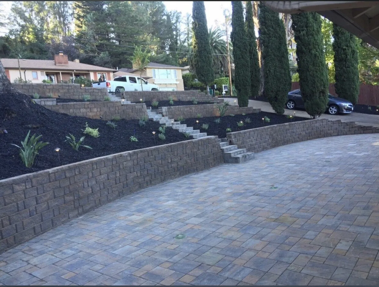 A landscaped yard with tiered stone walls, steps, and cypress trees, designed by JV Gardening and Landscaping Inc. in Vallejo.