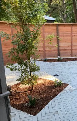 A landscaped backyard in Vallejo featuring a tree surrounded by mulch and bordered by a patterned stone path, created by JV Gardening and Landscaping Inc.