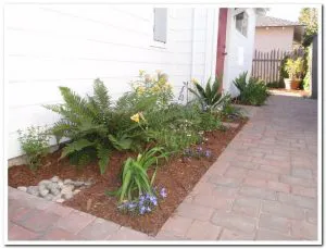 A neatly landscaped garden with various plants and a brick walkway, created by Jerry Allison Landscaping, Inc. in Watsonville.