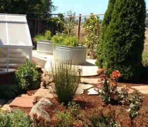 A landscaped garden featuring a variety of plants, a small greenhouse, and a tall evergreen tree, created by Jerry Allison Landscaping, Inc. in Watsonville.