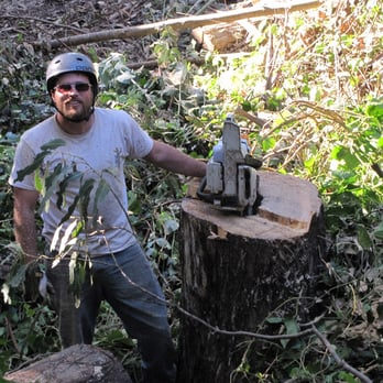 "A worker from Koala Tree Care wearing protective gear, standing beside a freshly cut tree stump in a wooded area."