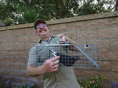 A person holds an animal trap containing a bird, standing in front of a brick wall.