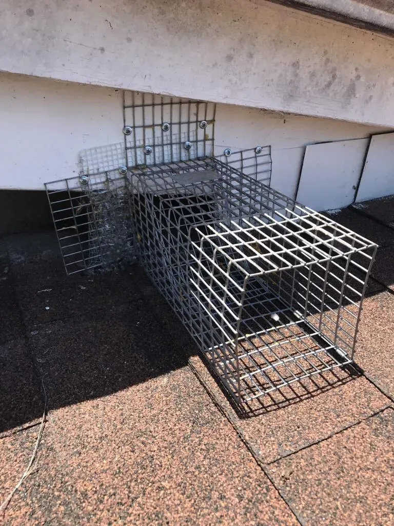 A metal cage barrier installed under the eaves of a roof, showcasing critter-proofing methods by Mighty Men Services in Benicia.