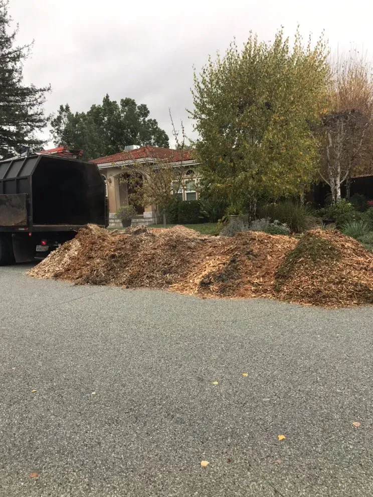 A large pile of wood chips and mulch next to a black truck on a residential street, with trees and a house in the background in San Jose.