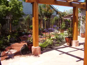 A beautifully landscaped garden with wooden pergola, various plants, and decorative elements created by Manzanita Landscape Construction, Inc. in Windsor.