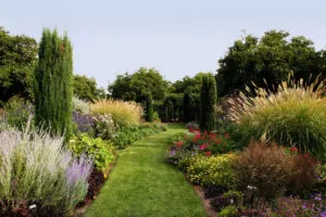 A beautifully landscaped garden path surrounded by diverse plants and shrubs, showcasing the work of Manzanita Landscape Construction, Inc. in Windsor.