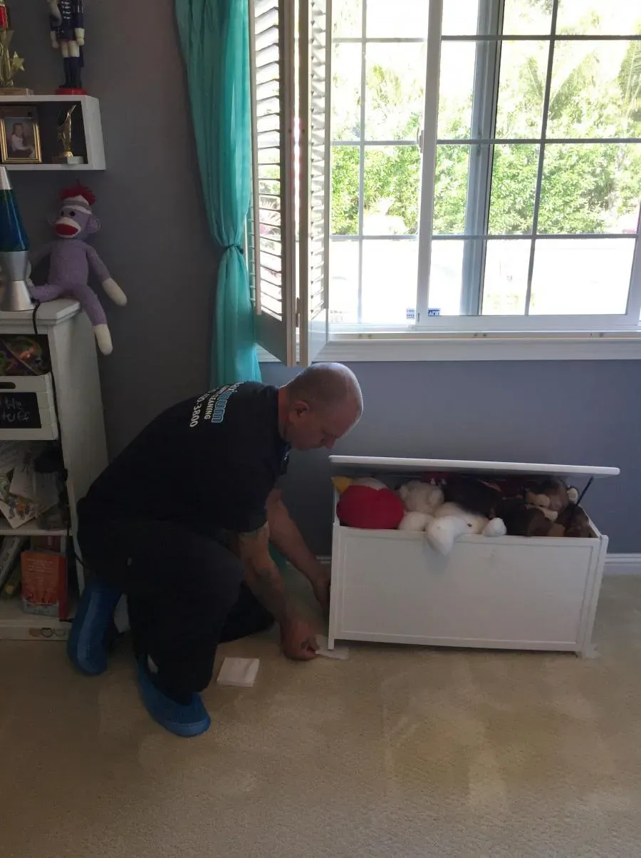 A professional from Maximum Carpet Cleaning checks carpet fibers in a well-lit room in Pleasant Hill, equipped with a toy chest and window view.