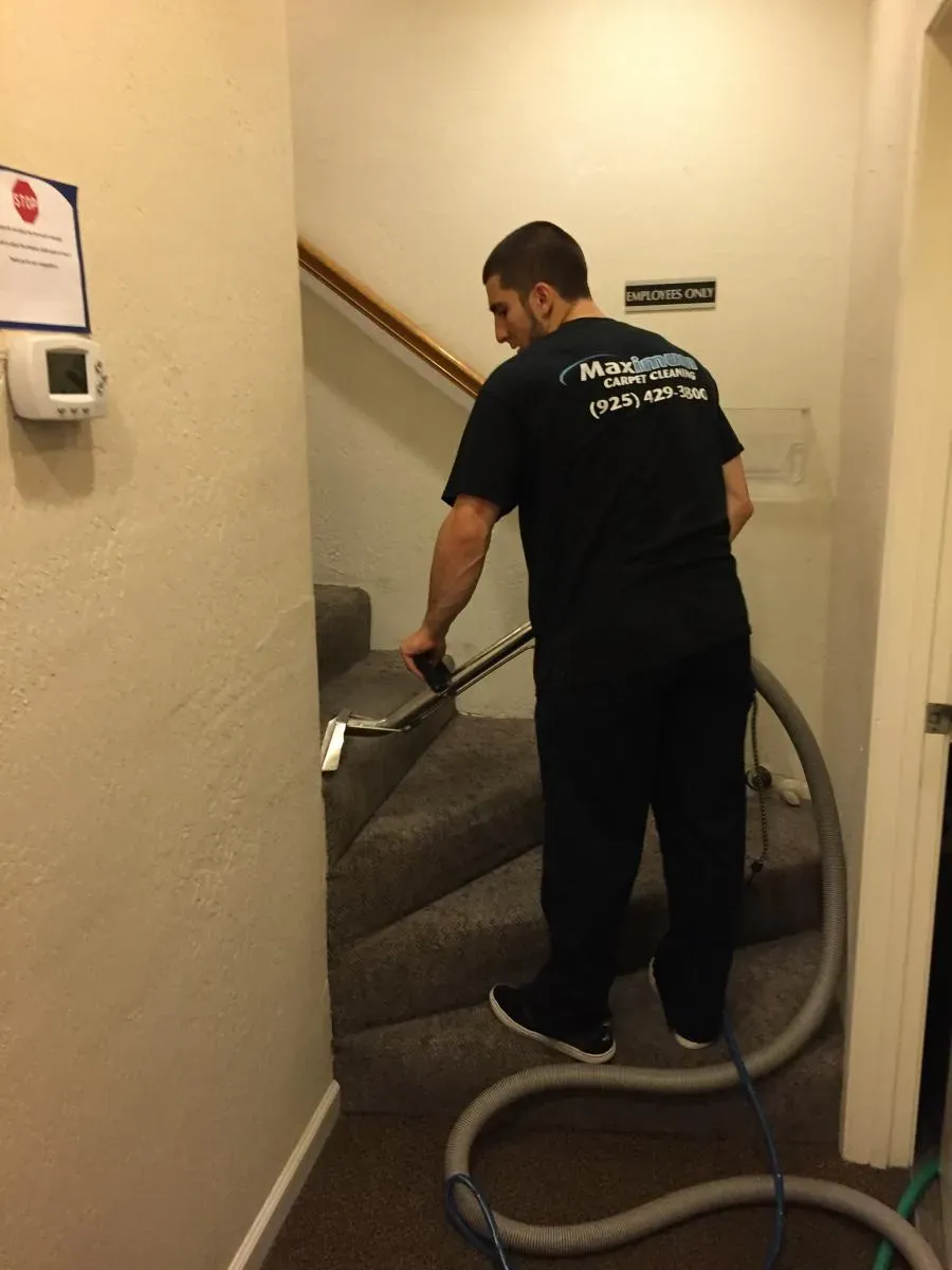 "A professional from Maximum Carpet Cleaning, based in Pleasant Hill, expertly cleaning carpeted stairs using specialized equipment."