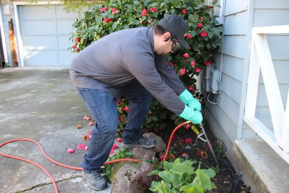 "A technician from Mightymite Termite Services in Campbell uses pest control equipment to treat the exterior of a house."