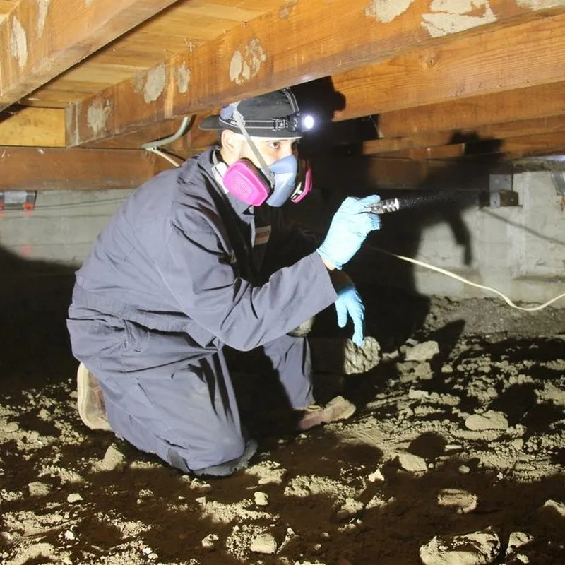 A technician from Mightymite Termite Services in Campbell spraying under a wooden structure while wearing protective gear, including a mask and gloves.