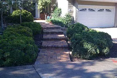 A well-maintained brick pathway leading to a house, surrounded by green bushes, designed and installed by Mr. Pavers Contractor Services, Inc. in Rodeo.