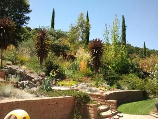A landscaped garden in Concord with various plants, trees, and shrubs arranged on a hillside, complemented by a brick retaining wall and a vibrant lawn in the foreground.