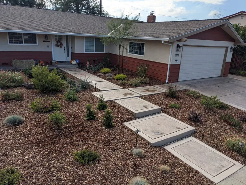 A modern front yard in Concord, landscaped with various plants and mulch, featuring a concrete walkway leading to the entrance, designed by Natural Landscaping Contractors.